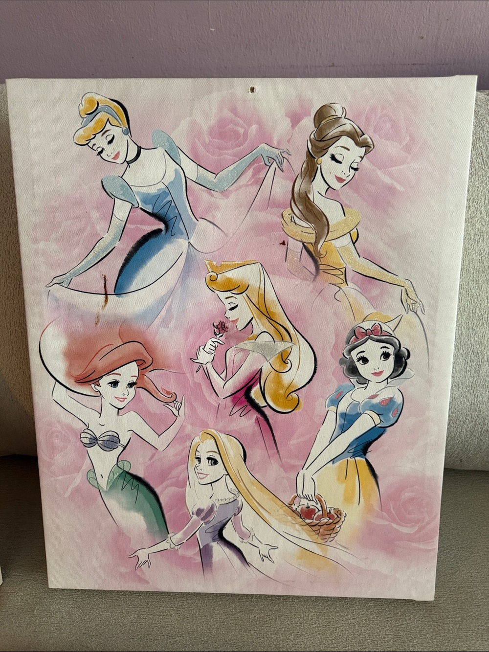 Disney Princess Canvas Art - Pink Multi